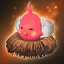 Pink Starling Nestcap