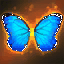 Papilio Bianor