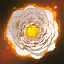 White Hair Flower