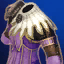 Coinhound's Coat