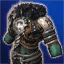 Rychcarf Vest