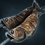 Cat Fish