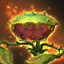 Care and Use of Your Pet Carnivorous Plant