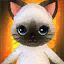 Care and Use of Your Pet Cuddly Kitty