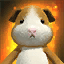 Care and Use of Your Pet Gutsy Guinea Pig