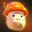 KR only