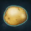 Sasha's Potato